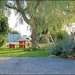 Mi Oasis