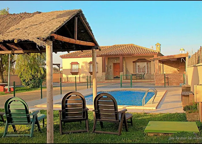 Mi Oasis