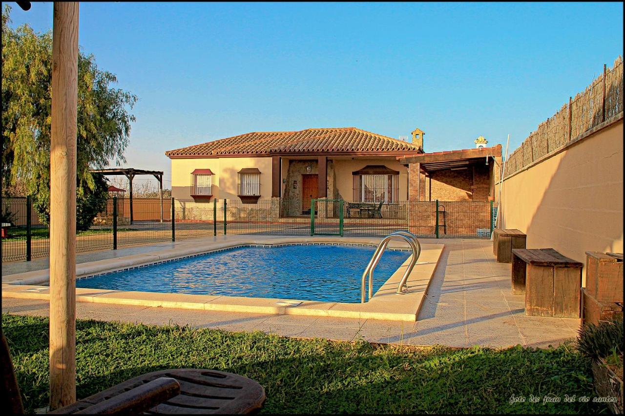 Mi Oasis