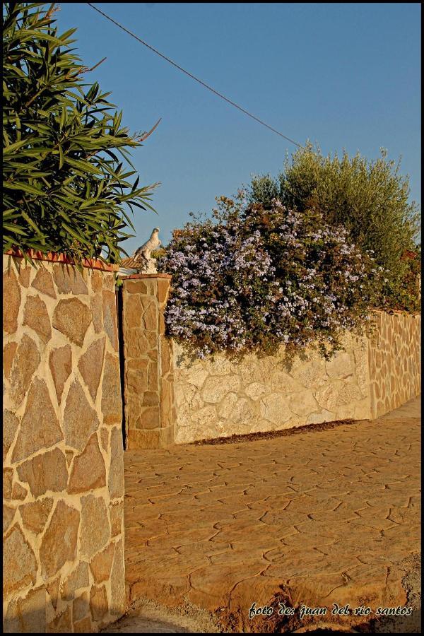 Mi Oasis Ferienhaus *
