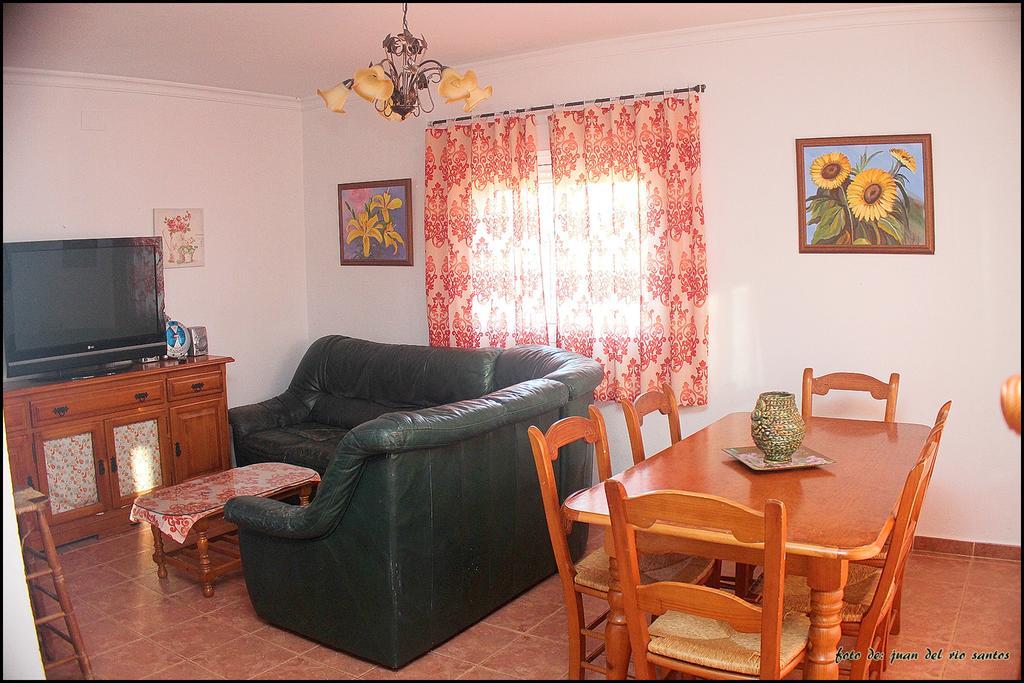 Mi Oasis *