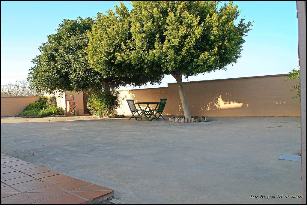 Mi Oasis * Conil De La Frontera