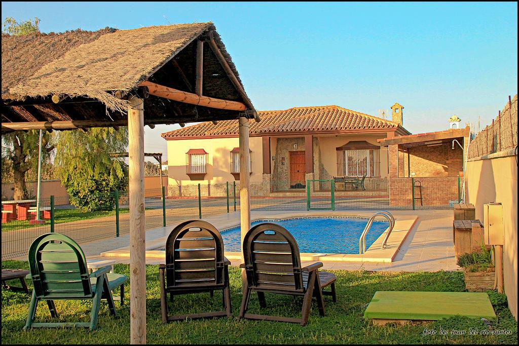 Mi Oasis
